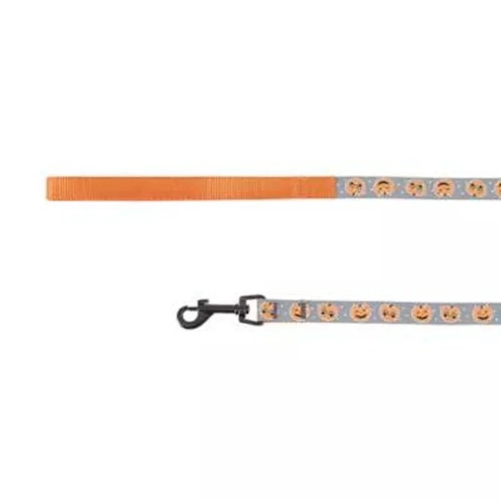 Thrills & Chills Reflective Cat Harness & Leash Set Pumpkin Halloween Costume‎